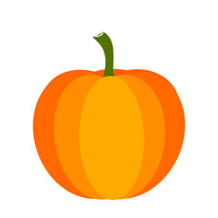 Pumpkin vegetable isolated on transparent background. Vector illustration