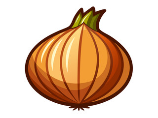 onion vector, illustration of onion isolated on white background