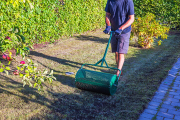 Man restoring lawn using soil spreader roller on grass in garden. Sweden.
