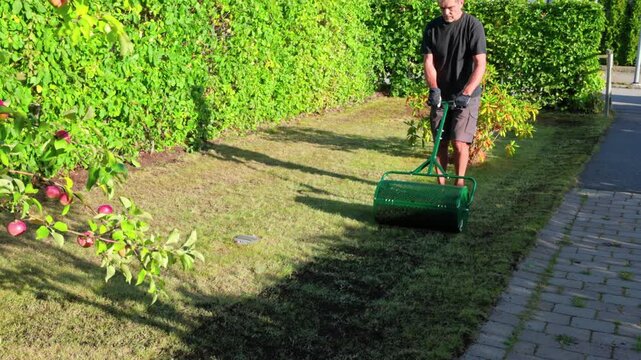 Man restoring lawn using soil spreader roller on grass in garden. Sweden.