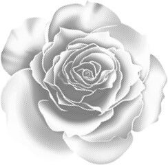 Halftone bitmap grunge dot texture photocopy effect rose flower