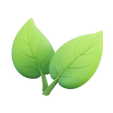 two green leaf 3d render icon isolated on transparent background cutout