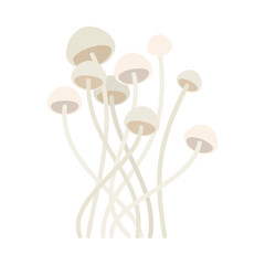 Flat cute bright colors of mushroom icon. Illustration isolated on white background. Food, autumn, and spring. Nature