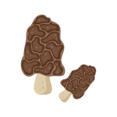 Flat cute bright colors of mushroom icon. Illustration isolated on white background. Food, autumn, and spring. Nature