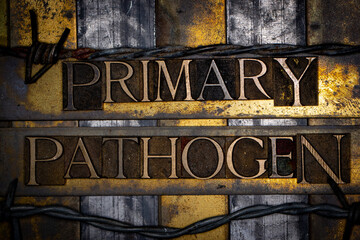 Primary Pathogen text with on grunge textured copper and gold background 