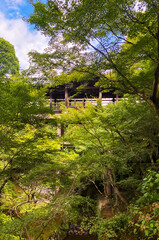 東福寺　通天橋