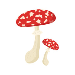 Flat cute bright colors of mushroom icon. Illustration isolated on white background. Food, autumn, and spring. Nature