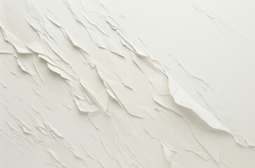 Obraz premium Close-Up of Aged White Paper Texture with Torn Edges and Creases Against a Clean Background
