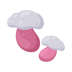 Cartoon mushrooms flat illustration isolated on white background. Forest. autumn and spring. Organic nature