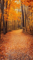 Fototapeta premium A Forest Path in Autumn