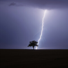 Lone Tree Struck by Lightning Against Dark Sky