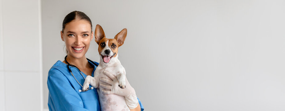 Young woman radiant veterinarian in blue scrubs holds a smiling Jack Russell Terrier, showcasing a positive atmosphere during a vet visit in a clean clinic, copy space