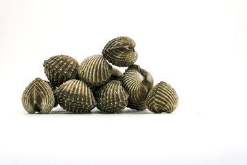 Fresh cockles on white background