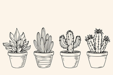 Set of Cacti succulent plants. Home plants one line ink sketch flowers in a pot decorative houseplant. Contour outline vector illustration