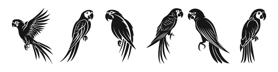 parrots vector set