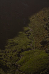 Minimalismus in der Natur