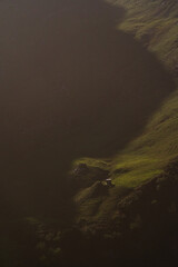 Minimalismus in der Natur