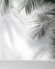 minimalist background Contains coconut leaves