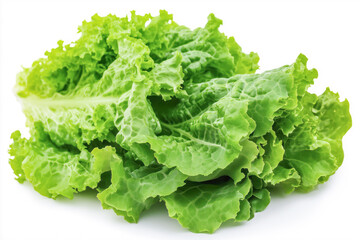 Isolated on a white backdrop, fresh lettuce