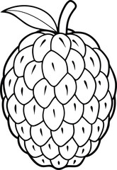 Atemoya fruit line art illustration black and white