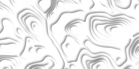 Abstract design with black and white abstract papercut and multi-layer cutout geometric pattern on vector Topographic canyon geometric map relief texture with curved layers beautiful design.	