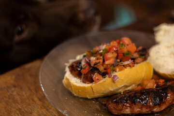 Chorizo sandwich with dog craving it on the background