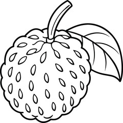 Atemoya fruit line art illustration black and white