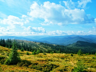 Spring Awakening in the Mountains