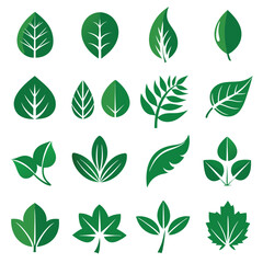 Set of different style simple tree leaves icon set vector illustrations on a white background