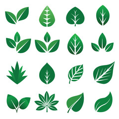 Set of different style simple tree leaves icon set vector illustrations on a white background