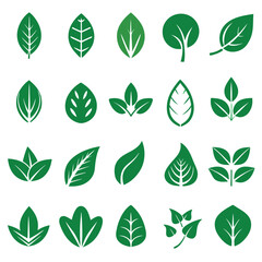 Set of different style simple tree leaves icon set vector illustrations on a white background