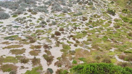 Coastal landscape of the Kangaroo Island