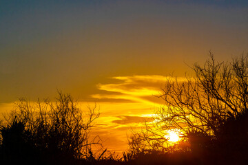 Colorful golden sunset sunrise tropical Caribbean palm trees jungle Mexico.