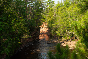 Summer landscape.