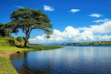 Democratic Republic Of The Congo Landscape. Stunning View of the Lake in African Park