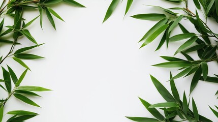 Fototapeta premium Bamboo leaves on a white backdrop with copy space image.