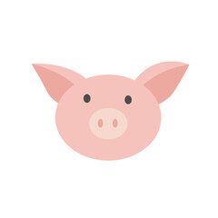 Pig Head Vector Graphic Design Illustration