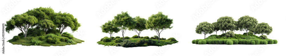Poster group of trees with different shapes and sizes are clustered together and standing tall and close to