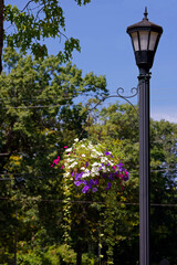 The floral decoration in the park
