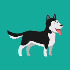 Adorable Siberian Husky Dog Vector Illustration