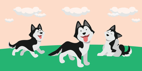 Adorable Siberian Husky Dogs in Various Poses