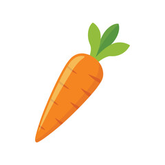 Carrot vector illustration on white background, Fresh vegetable isolated, Whole carrot vector illustration, Cartoon drawing of whole carrot isolated on white background. Food, nutrition, diet concept