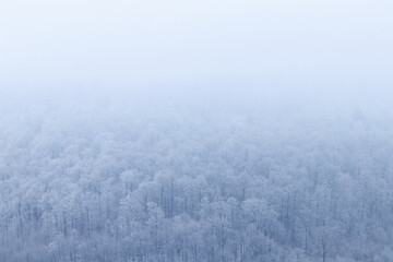 Aerial view of snow covered trees. Forest on the frozen hillside on a cold winter day. Abstract nature, weather background concept.