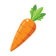 Carrot vector illustration on white background, Fresh vegetable isolated, Whole carrot vector illustration, Cartoon drawing of whole carrot isolated on white background. Food, nutrition, diet concept