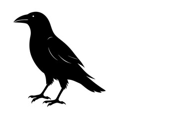 Fototapeta premium Vector, isolated black silhouette bird