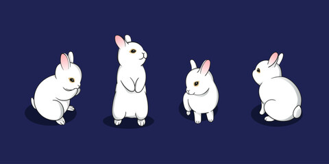 Cute white bunny vector set. Jade rabbit illustration for Mid-Autumn Festival