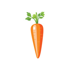 Carrot vector illustration on white background, Fresh vegetable isolated, Whole carrot vector illustration, Cartoon drawing of whole carrot isolated on white background. Food, nutrition, diet concept