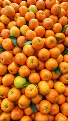 oranges in tray at the market