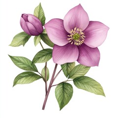 Beautiful illustration of a pink flower with green leaves, perfect for nature-themed designs and botanical art.