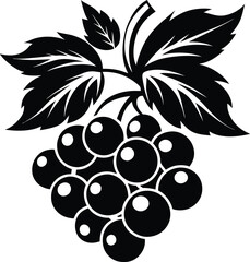 Blackcurrant fruit silhouette illustration black and white